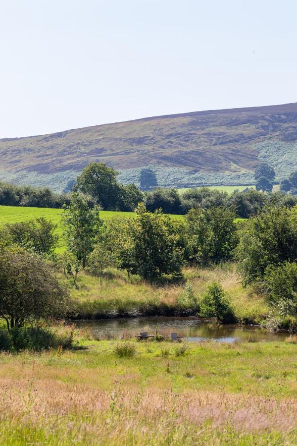 Pond Cottage Rosedale Abbey Dış mekan fotoğraf